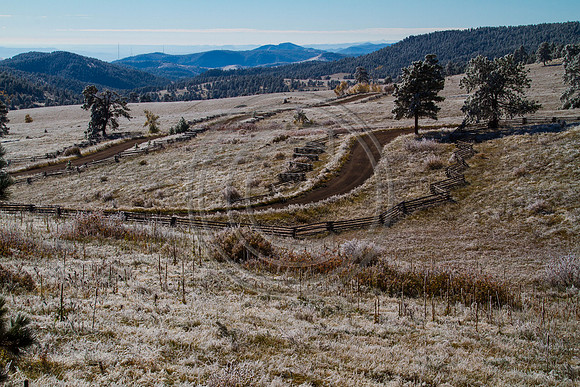 _MG_0515