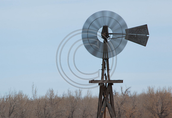 Blowing In The Wind