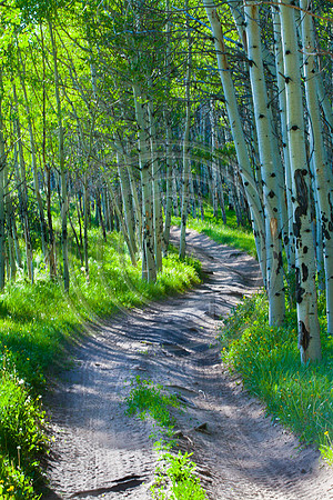 Bending Trail