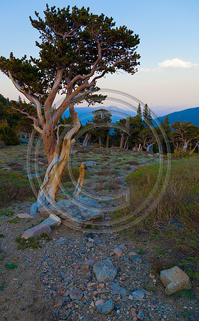 Mount Evans at sunset