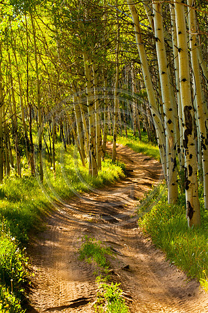 Bending Trail