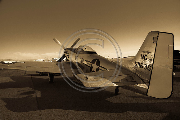 Stang Evil P-51