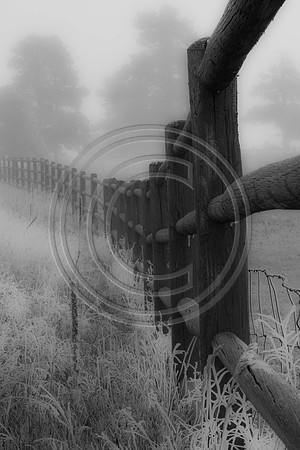 IMG_9993-2