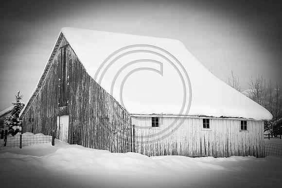 Old Barn in Steamboat